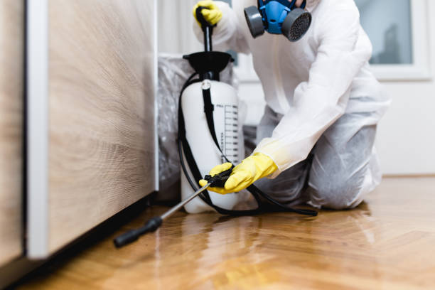 Best Cockroach Control Services  in Umatilla, FL