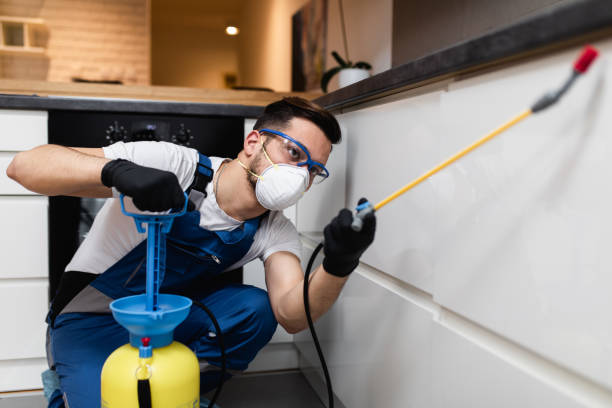 Best Pest Prevention Services  in Umatilla, FL