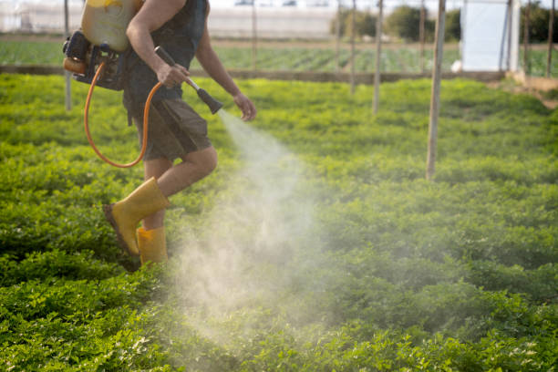 Best Mosquito Control Services  in Umatilla, FL